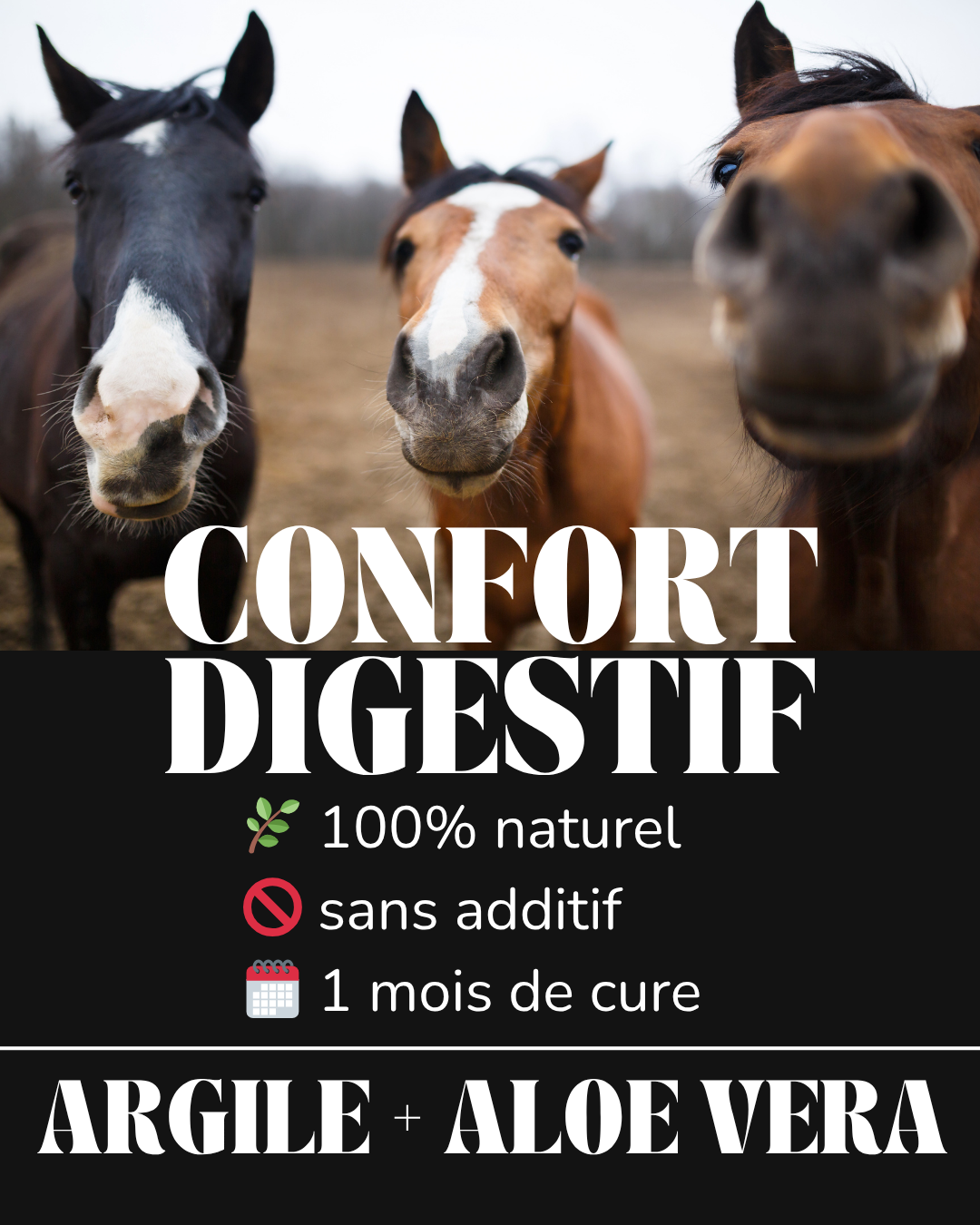 Confort Digestif